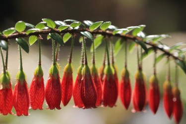 佛山顺德区2私人快速借钱网，轻松解决资金难题