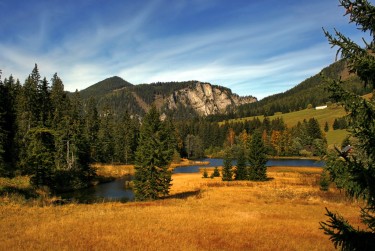 佛山顺德区2民间私贷攻略：揭秘低成本借贷的秘密