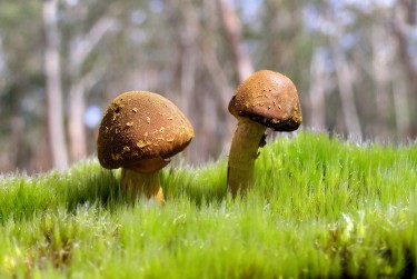 佛山顺德区2私人老板放款：轻松融资的秘密通道